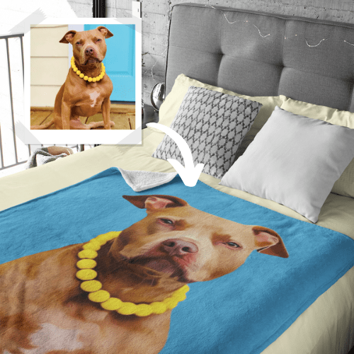 custom pet pillow