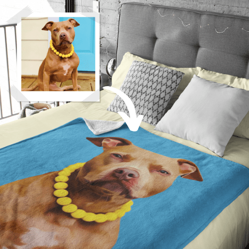 turn your pet's photo into a blanket