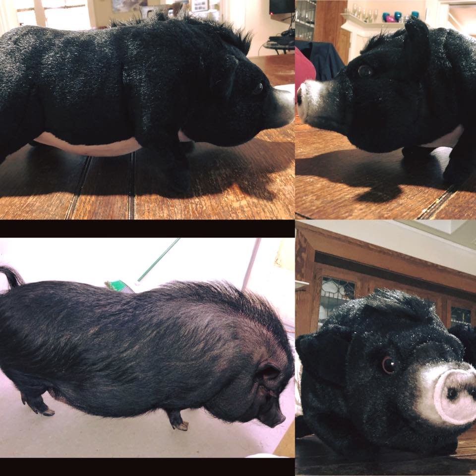 Custom Plush Pig Stuffed Animal Lookalike
