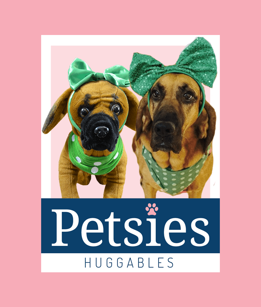 turn a picture of your pet into a stuffed animal