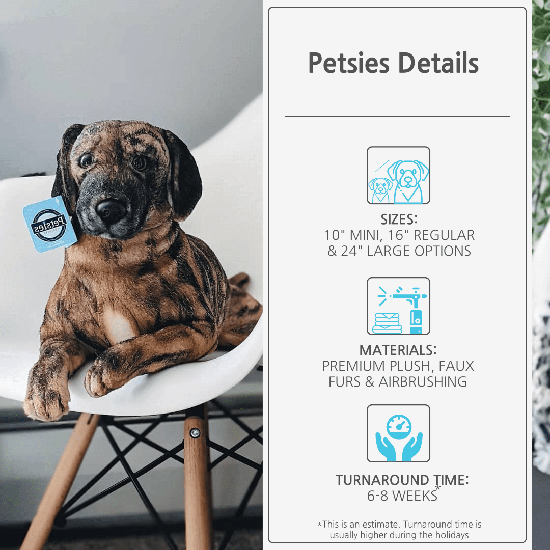 pet stuffed animal details