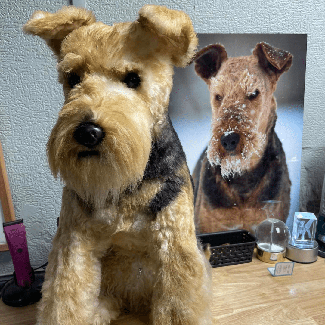 Custom Stuffed Animals - Pet Stuffed Animals | Petsies Custom Stuffed Animals - Pet Stuffed Animals | Petsies