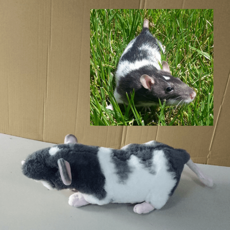 big rat stuffed animal
