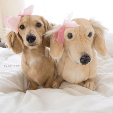 realistic pet plush