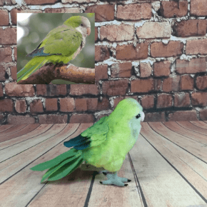 Realistic Stuffed Birds 2024 elgincountymidwives
