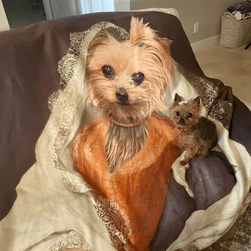 custom blanket of your pet