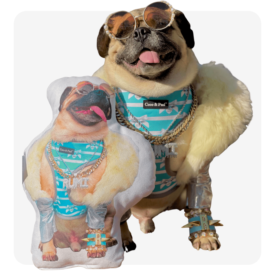 personalized pet pillows 