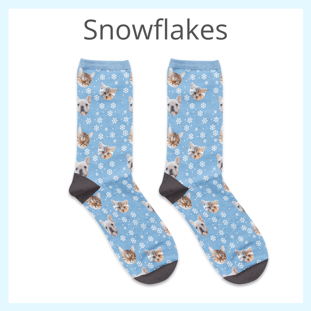 socks with your pet