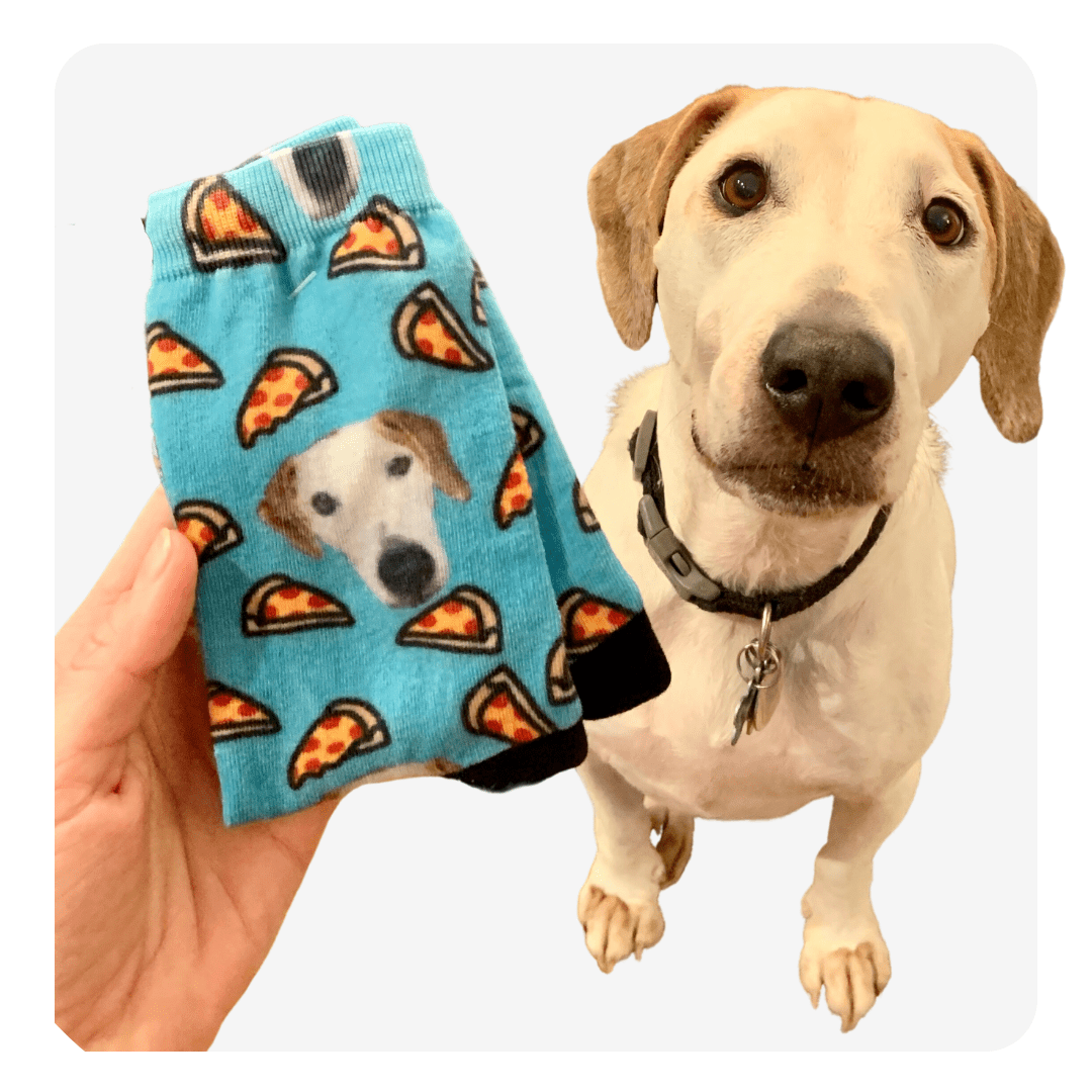 personalized pet socks