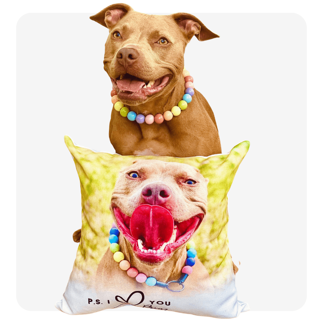 personalized pet photo pillows