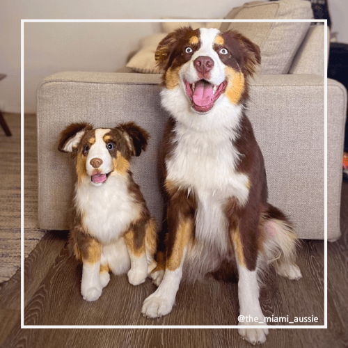 personalized dog stuffed animals