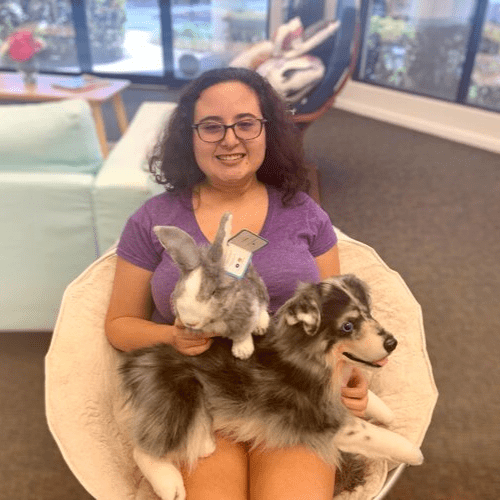 Petsies customer service 
