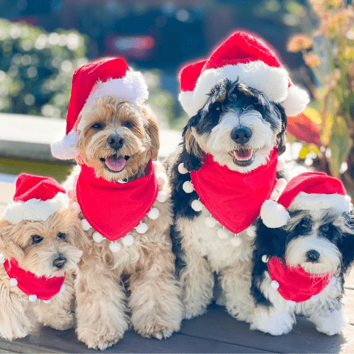 custom stuffed animals