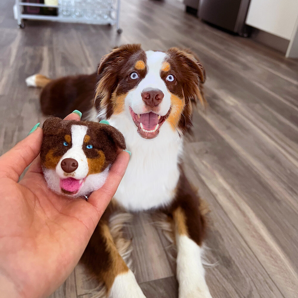 personalized pet magnets