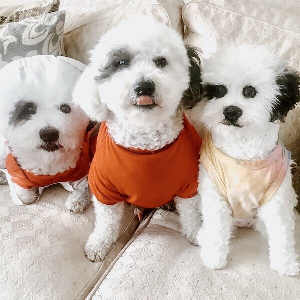 Personalized Pet Animal Plush Pillow 2