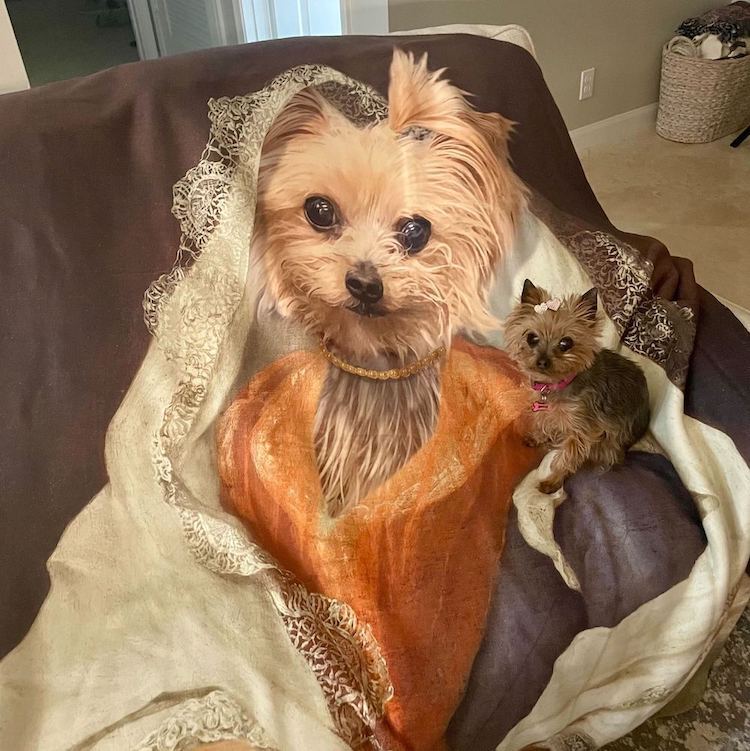 personalized pet blankets