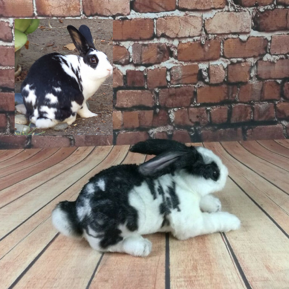 custom stuffed bunny